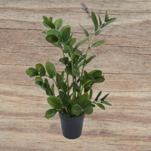 Artificial Zamioculcas Zamiifolia – ZZ Plant UAE