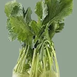 Knol Khol F1 Hybrid Seeds