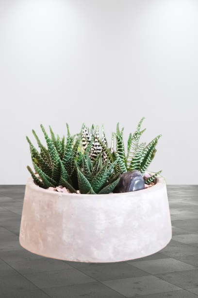 Konkri Spiked Garden