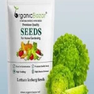 Lettuce Iceberg Seeds