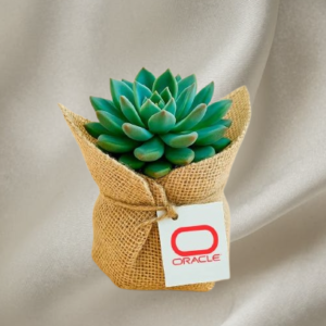 Mini Ghaf Wrap Corporate Gift Online – UAE Delivery