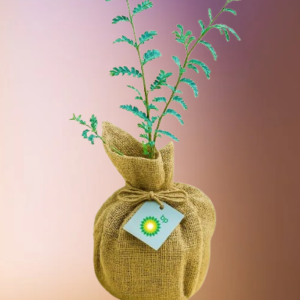 Mini Ghaf Wrap Corporate Gift Online – UAE Delivery