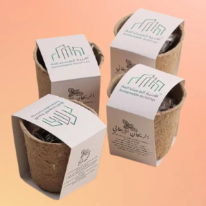 Mini Plant Grow Kit Eco-Friendly Corporate Gifts