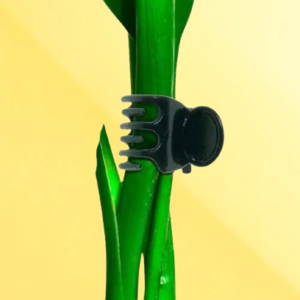 Plant Support Clips Online in UAE