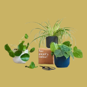 Propagation Bundle