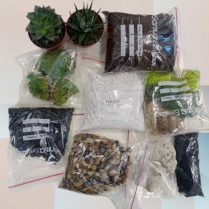 Terrarium DIY Kit for 1-Gallon Container