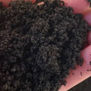 Buy 100% Organic Worm Castings | Plantshop.me UAE