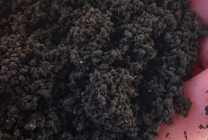 Buy 100% Organic Worm Castings | Plantshop.me UAE