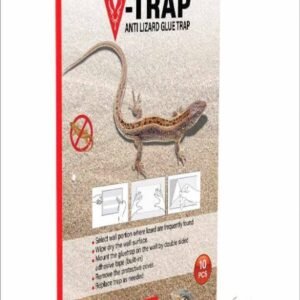 Buy Anti Lizard Glue Trap | Safe Pest Control UAE