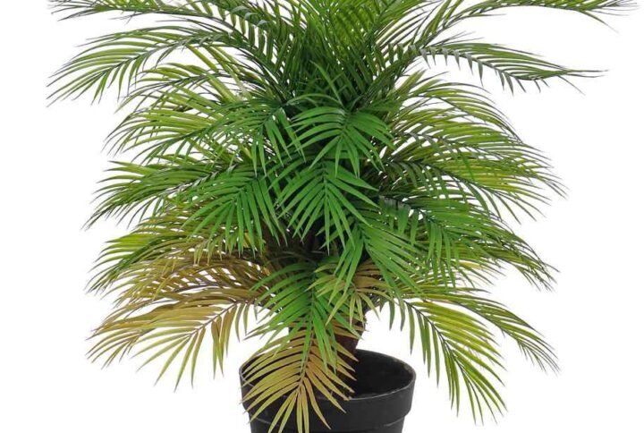 Buy Areca Palm Bushy Artificial Plants | Plantshop.me UAE