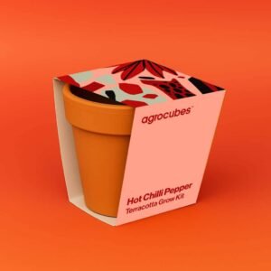 Buy Chilli Pepper Terracotta Grow Kit - UAE Online