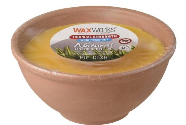 Buy Citronella Anti Mosquito Candle Repellent UAE