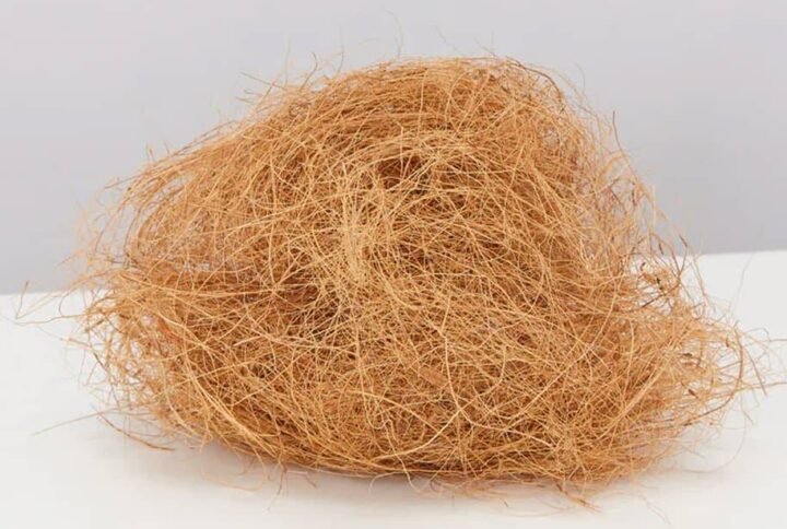 Buy Coco Coir Fiber : Eco-Friendly Growing Medium