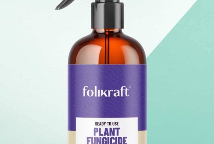 Buy Folikraft Plant Fungicide | Plantshop.me
