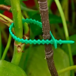 Buy Gardening Fishbone Tie | Plantshop.me UAE