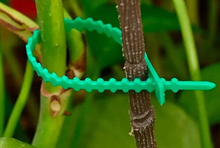 Buy Gardening Fishbone Tie | Plantshop.me UAE
