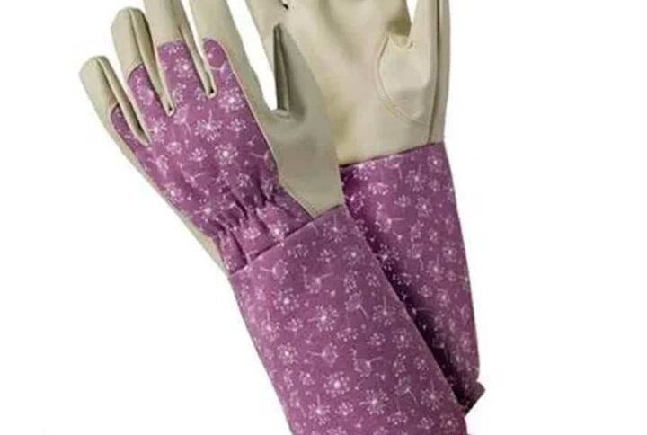 Buy Ladies Gardening Gloves Online in UAE - Plantshop.me