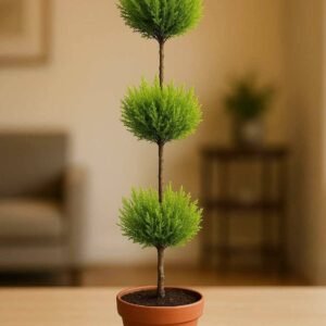 Buy Lemon Cypress 3 Head | Fresh & Fragrant UAE