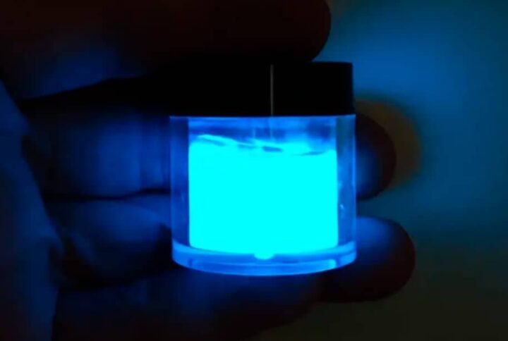 Buy Luminous Phosphor Powder 10gm for Terrariums