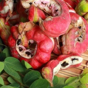Buy Manila Tamarind or Pithecellobium Dulce UAE