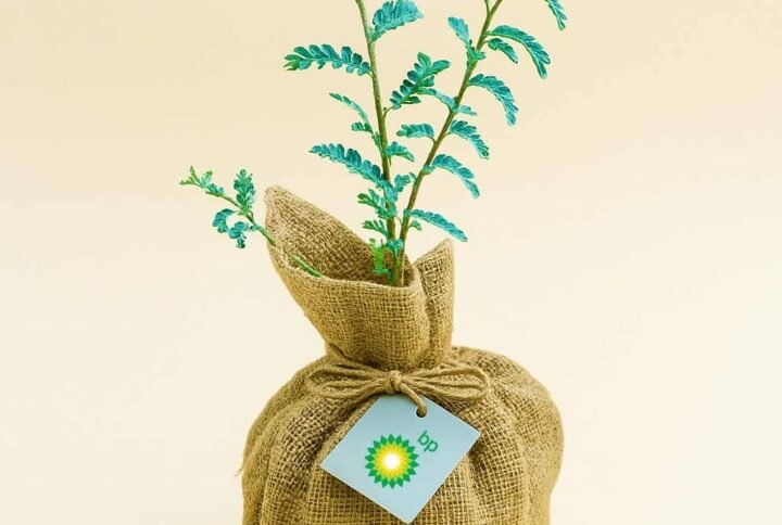 Buy Mini Ghaf Wrap Corporate Gift Online – UAE Delivery