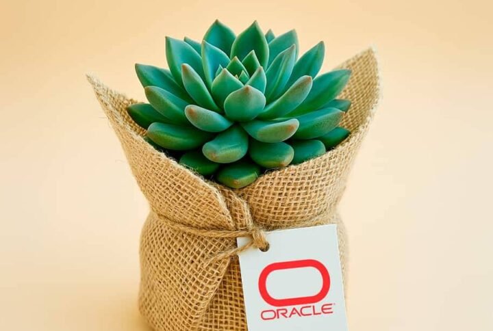 Buy Mini Ghaf Wrap Corporate Gift Online – UAE Delivery