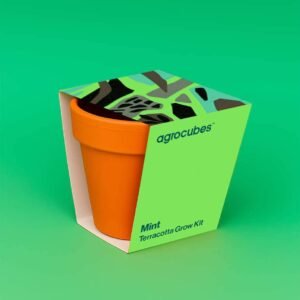 Buy Mint Terracotta Grow Kit Online - Plantshop.me UAE