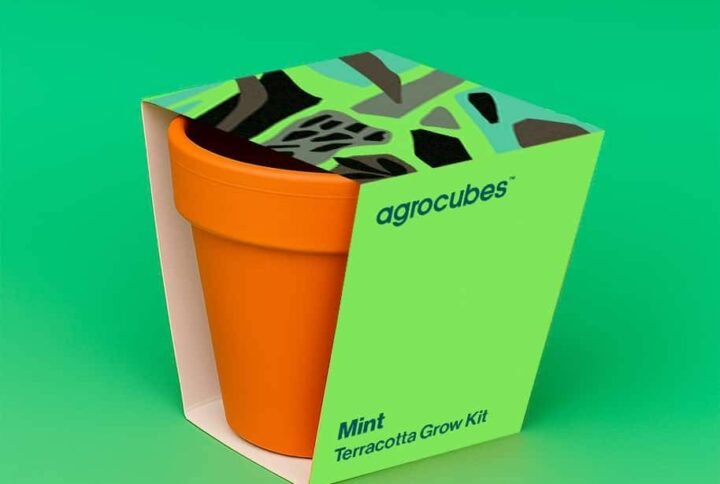 Buy Mint Terracotta Grow Kit Online - Plantshop.me UAE