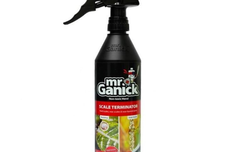 Buy Mr.Ganick Plant Pesticide | Plantshop.me UAE