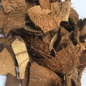 Buy Organic Coconut Shell Chips Online - Plantshop.me