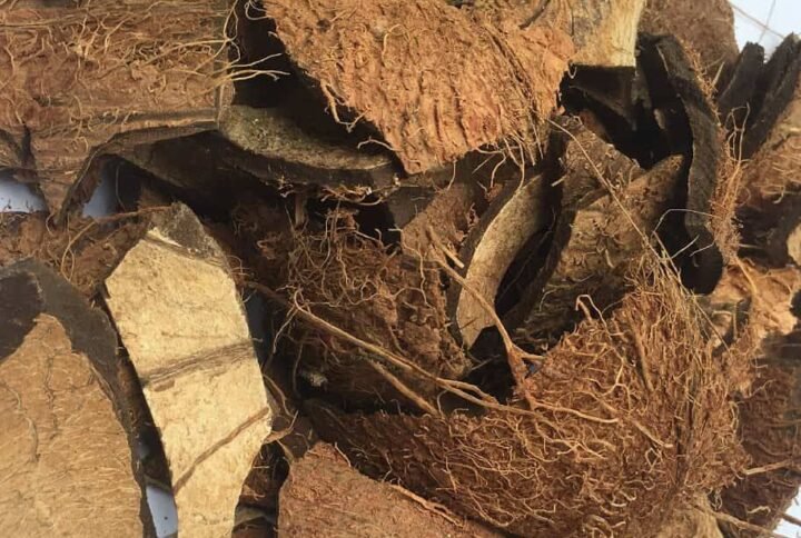 Buy Organic Coconut Shell Chips Online - Plantshop.me