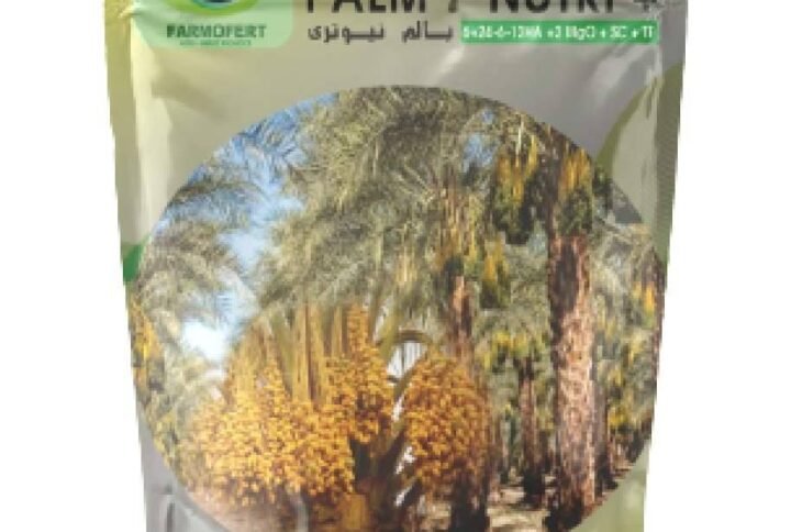 Buy Palm Nutriplus Fertilizer | Plantshop.me UAE