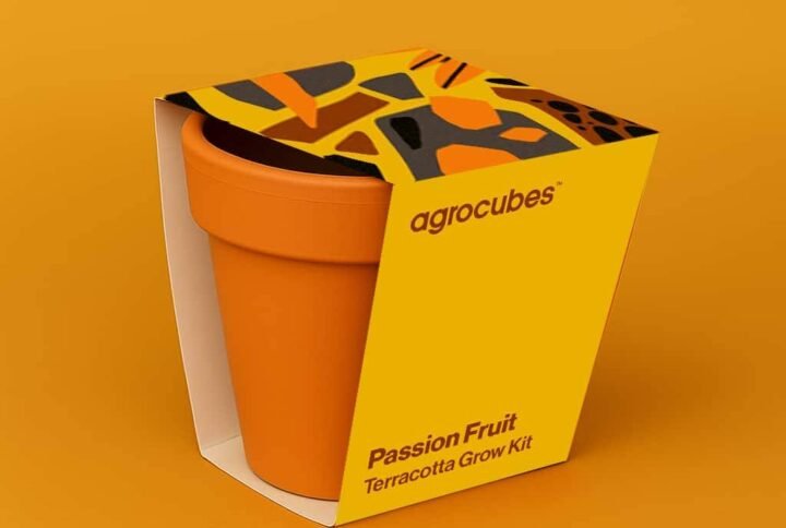 Buy Passion Fruit Terracotta Grow Kit - Plantshop.me UAE