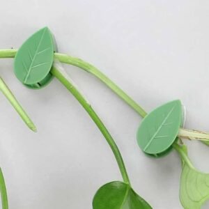 Buy Plant Fixture Clip | Plantshop.me