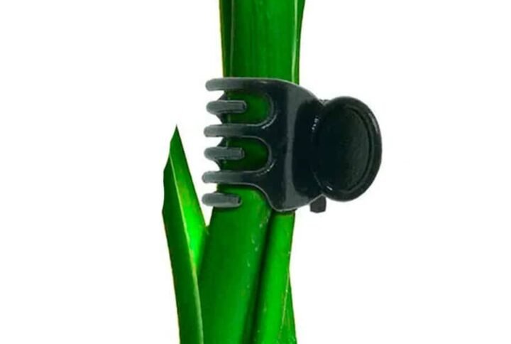 Buy Plant Support Clips Online in UAE - Plantshop.me