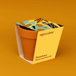 Buy Rosemary Terracotta Grow Kit Online - Plantshop.me