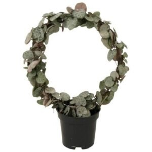 Buy String Of Hearts Round Arch | UAE Delivery