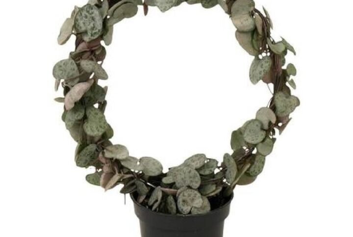 Buy String Of Hearts Round Arch | UAE Delivery