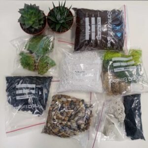 Buy Terrarium DIY Kit for 1-Gallon Container - Plantshop.me UAE