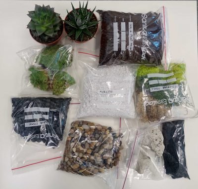 Buy Terrarium DIY Kit for 1-Gallon Container - Plantshop.me UAE