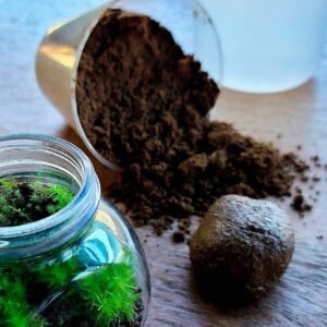 Buy Terrarium Modeling Soil Mix for Perfect Mini Gardens