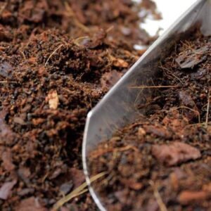 Buy Terrarium Soil Mix: Perfect Blend for Mini Gardens | UAE