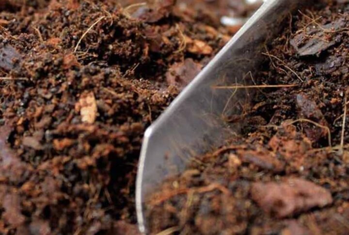 Buy Terrarium Soil Mix: Perfect Blend for Mini Gardens | UAE