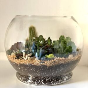Buy Tropical Garden Terrarium (Large) - Plantshop.me UAE