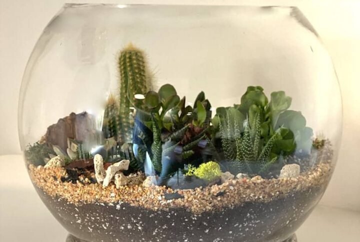Buy Tropical Garden Terrarium (Large) - Plantshop.me UAE