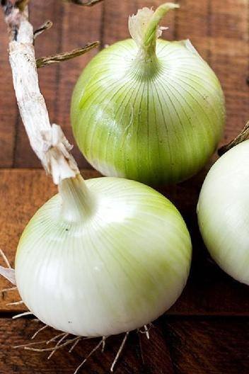 Buy White Onion Seeds: Top Quality, High Germination Rate