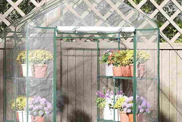Discover the Ultimate 8 Tier Green House at Plantshop.me
