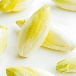 Endive F1 Hybrid Seeds - Seeds | Plantshop.me