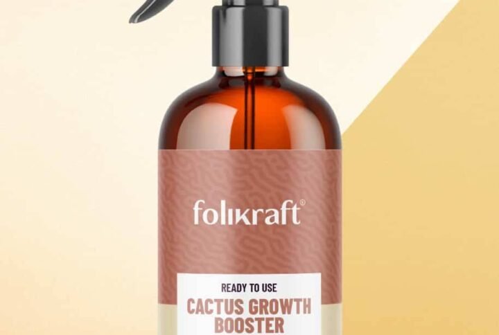 Folikraft Cactus Growth Booster - Fertilizer | Plantshop.me