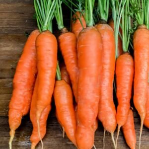 Grow Vibrant Orange Carrot Seeds | Plantshop.me UAE